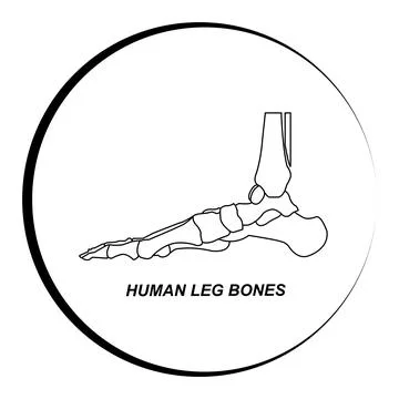 Human leg bones icon イラスト素材