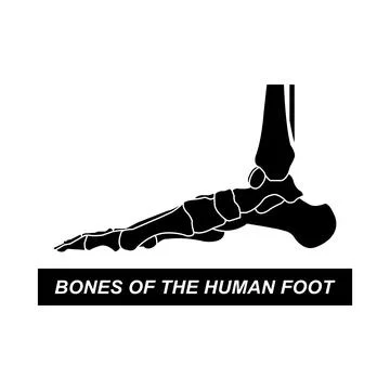 Human leg bones icon イラスト素材