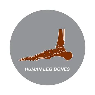 Human leg bones icon Illustrazione stock