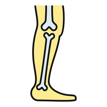 Human leg skeleton inside outline showing bones health Stock Illustration