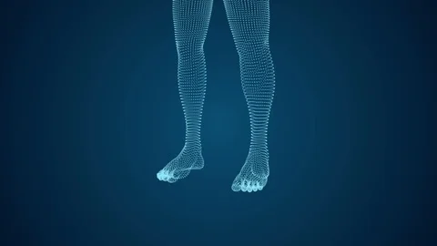 Human legs 3D graphics Stock Footage 105674371