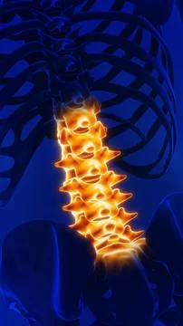 Human Lifting heavy object resulting Lower back Pain イラスト素材