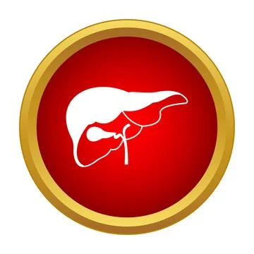 Human liver and gallbladder internal organ medicine icon Stockillustratie
