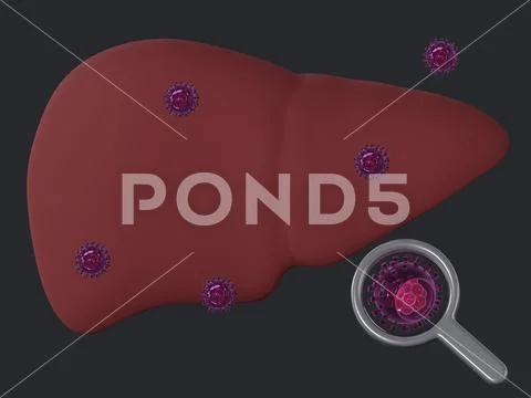 Human liver and hepatitis virus isolated 3d illustration PSD Template