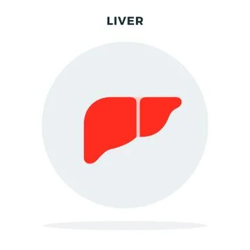 Human liver concept in a circle vector flat isolated Stock Illustration