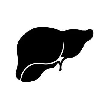 Human Liver Flat Icon Internal Organ Health Symbol Vector Illustration Stock Illustration