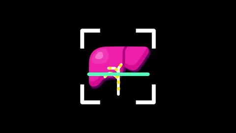 Human Liver Stock Footage 334178782