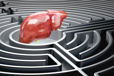 Human liver with gallbladder inside dark labyrinth, 3D rendering Stock Illustration