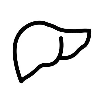 Human liver icon linear logo mark in black and white Stock Illustration