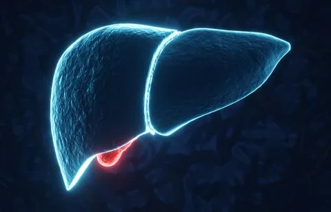 Human liver with red glowing gallbladder Stock Illustration