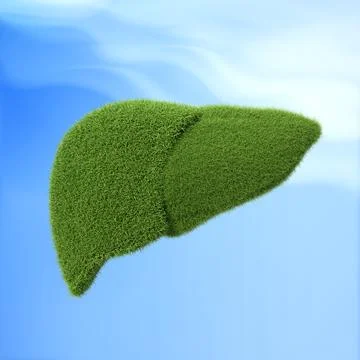 Human liver shape made from grass on blue background Stock Illustration