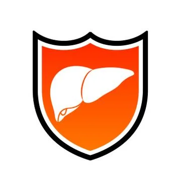 Human liver in shield. icon design. Health care concept. Vector illustration Stock Illustration