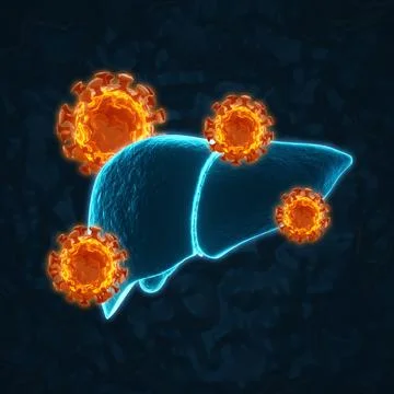 Human liver with virus cells on dark blue background Stock Illustration