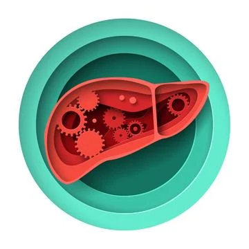 Human liver work process paper cut craft vector illustration Illustrazione stock