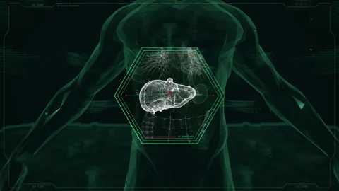 Human Liver X-Ray Scanner Background Stock Footage 230672237