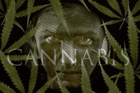 Human looking through grates and cannabis leaves Stock Illustration