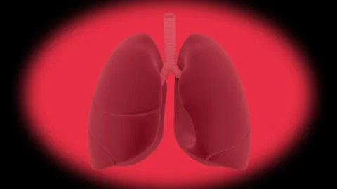 Human Lung Stock Footage 248031334