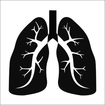 Human lung Stock Illustration