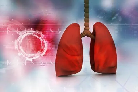 Human lungs in abstract digital design Stock Illustration