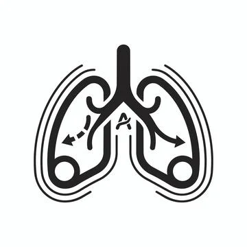 Human lungs anatomy icon vector graphic with respiratory breathing pulmonary Illustrazione stock