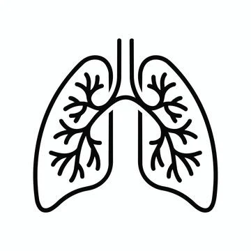 Human lungs anatomy vector icon graphic with respiratory pulmonary bronchial Illustrazione stock