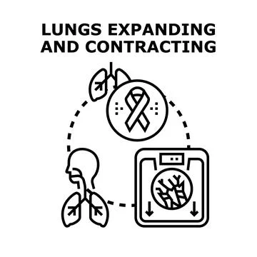 Human lungs and respiratory system health concept Stock Illustration
