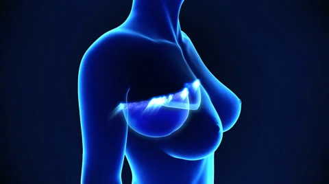 Human Lungs animation Stock Footage