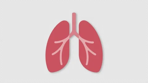 Human lungs breathing with alpha channel background Stock Footage 341304675