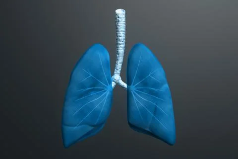 Human lungs in color background Stock Illustration