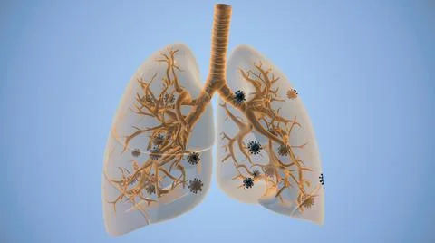 Human lungs with coronavirus spread background Stock Illustration