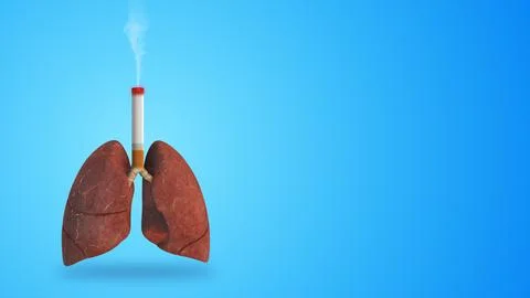 Human lungs damage due to the harmful effects of smoking Illustration