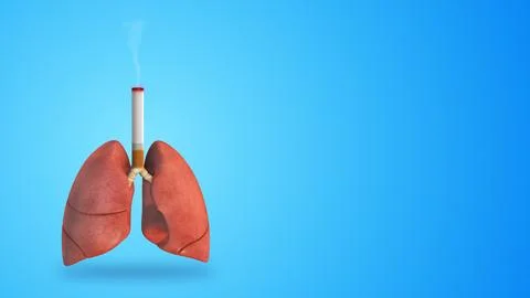 Human lungs damage due to the harmful effects of smoking イラスト素材