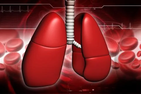 Human lungs in digital design Stock Illustration