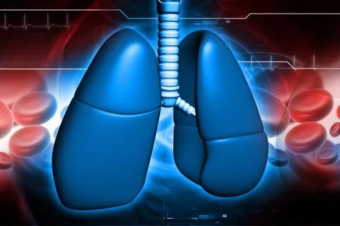 Human lungs in digital design Stock Illustration