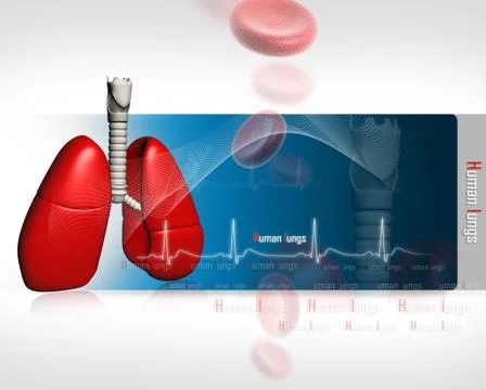 Human lungs with ECG Stock Illustration