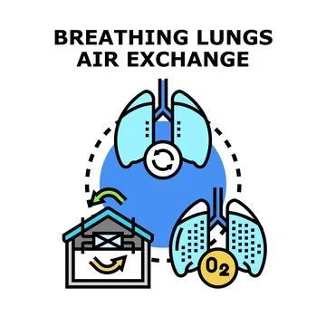 Human lungs exchanging oxygen and carbon dioxide Stock Illustration