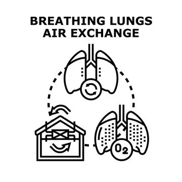 Human lungs exchanging oxygen and carbon dioxide Stock Illustration
