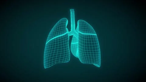Human Lungs Stock Footage 257077011
