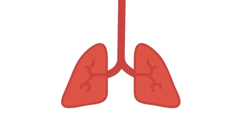 Human Lungs Stock Footage 335667416