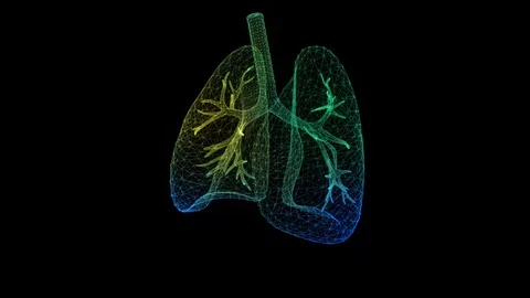 Human lungs. Green light dot and lines formation human lungs model. Motion Stock Footage 128694077