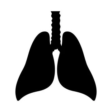 Human Lungs Icon Stock Illustration