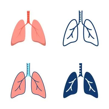 Human lungs icon set in flat and line style Stock Illustration