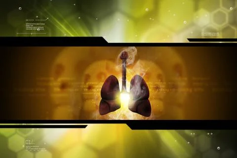 Human lungs Stock Illustration