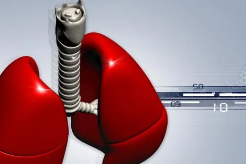 Human lungs Stock Illustration