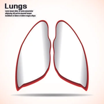 Human lungs isolated on white background. Medical concept, logo, symbol, icon Stock Illustration