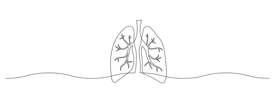Human Lungs in one continuous line drawing. Internal organ in simple linear Stock Illustration