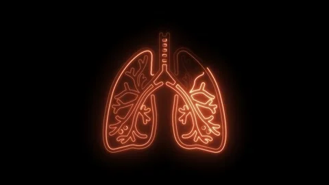 Human lungs orange neon glowing outline on black background respiratory sys.. Stock Footage 345990213