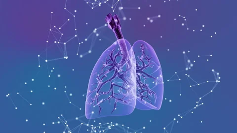 Human lungs with plexus medical background Stock Footage 202199780