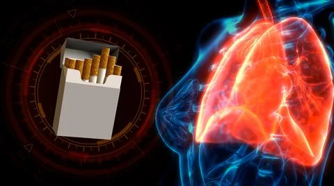 Human lungs problems by smoking, cg medical 3d illustration Stockillustratie