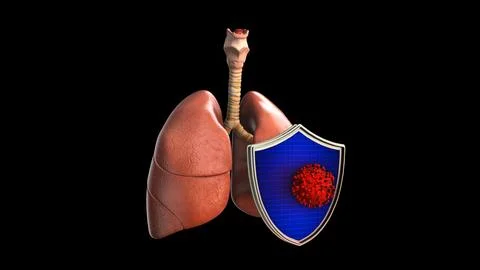 Human Lungs Protected by Shield for Immunity and Health Protection Concept Stock Illustration
